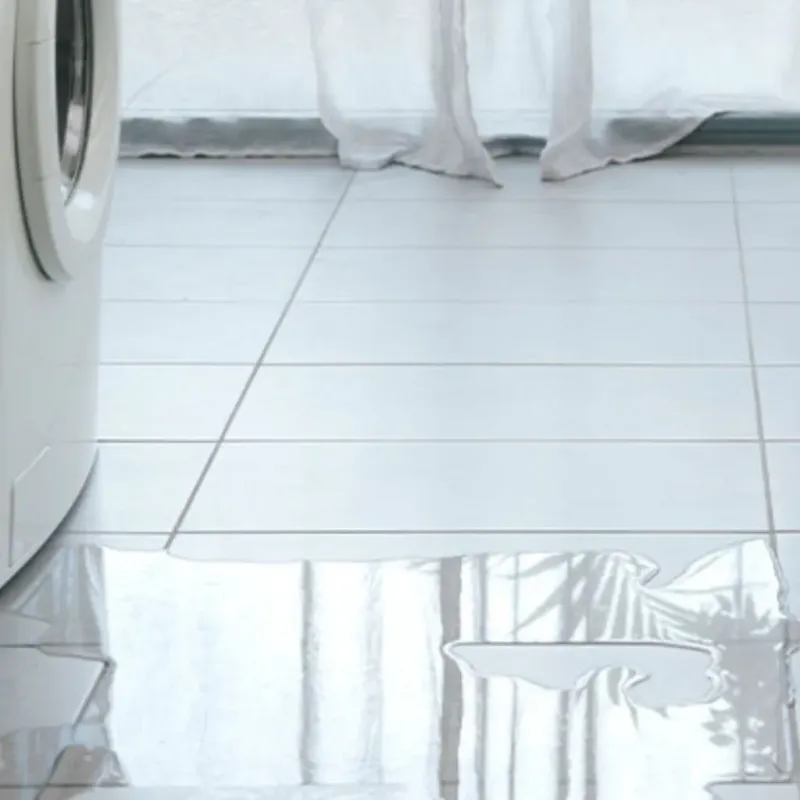 Appliance Leak Cleanup in Stockton, MO