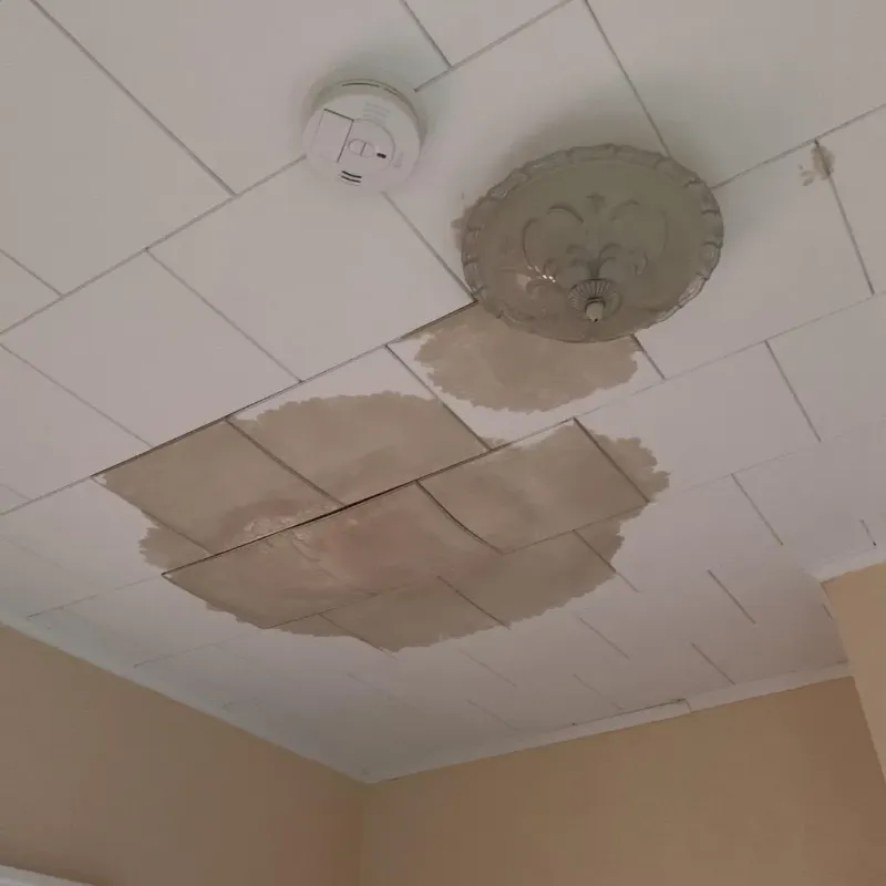 Ceiling Water Damage Repair in Stockton, MO