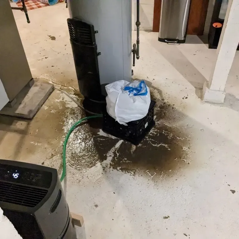 Sewage Backup Cleanup Service in Stockton, MO